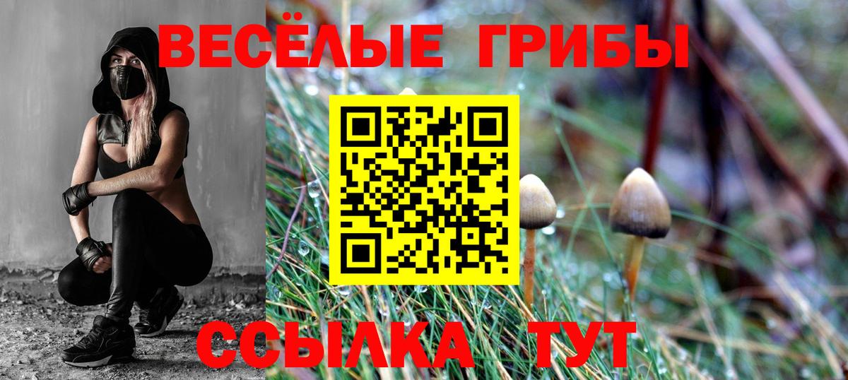 Псилоцибиновые грибы Psilocybine cubensis  Псилоцибиновые грибы Psilocybine cubensis  Элиста  Вход с VPN 